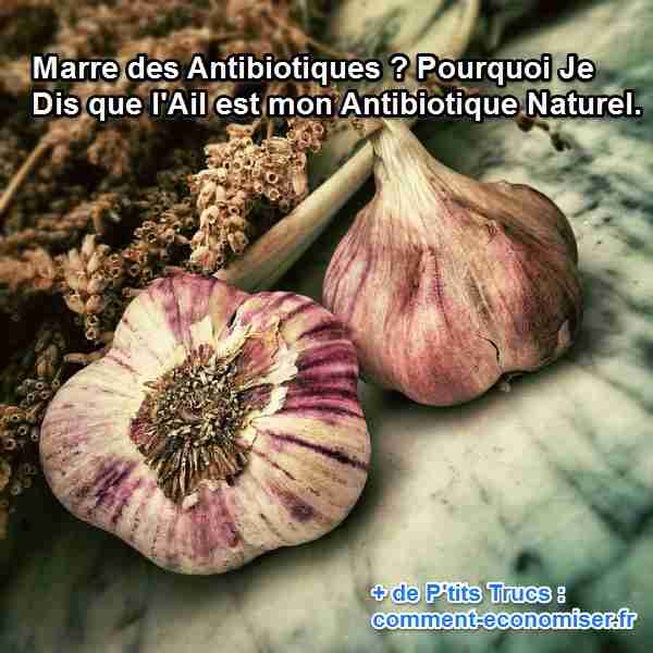 l'ail est un antibiotique naturel
