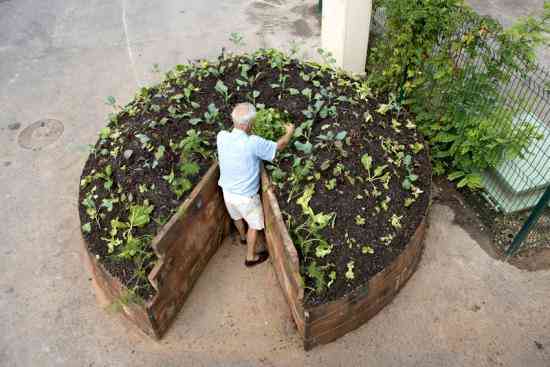 créer des potagers gratuits bio accessibles à tous