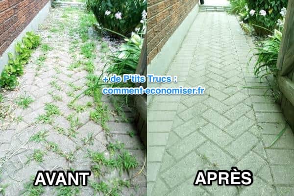 Before after natural weed killer better than round up