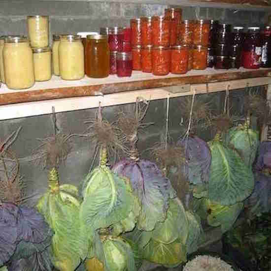 Comment faire pour conserver vos fruits et légumes en hiver ?