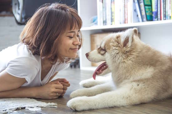 Jouer avec votre chien pour ne pas qu'il ait peur