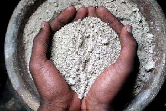 terre de diatomée contre les pince-oreilles