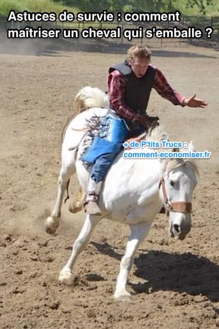 cheval qui s'emballe au galop astuces pour s'en sortir
