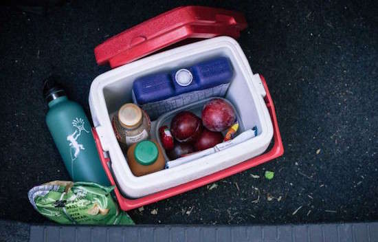 Pourquoi faut-il cacher des snacks dans sa voiture quand on va faire du camping ?