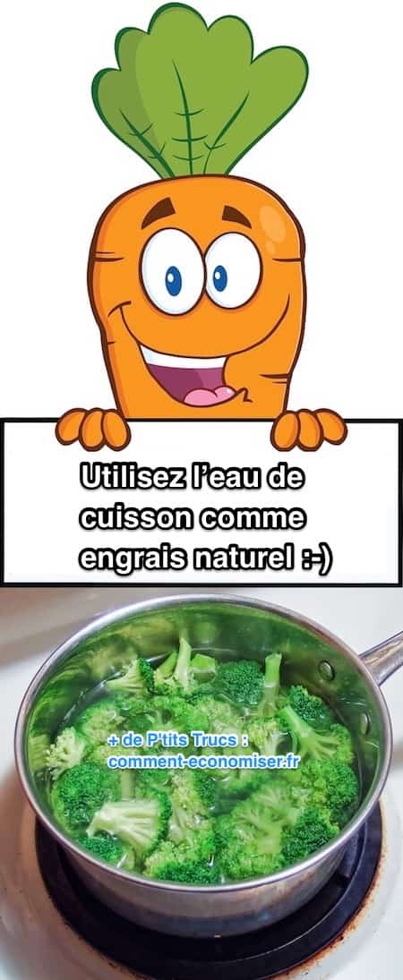 Pour un engrais naturel et écologique, utilisez l'eau de cuisson de légumes pour arroser vos plantes.
