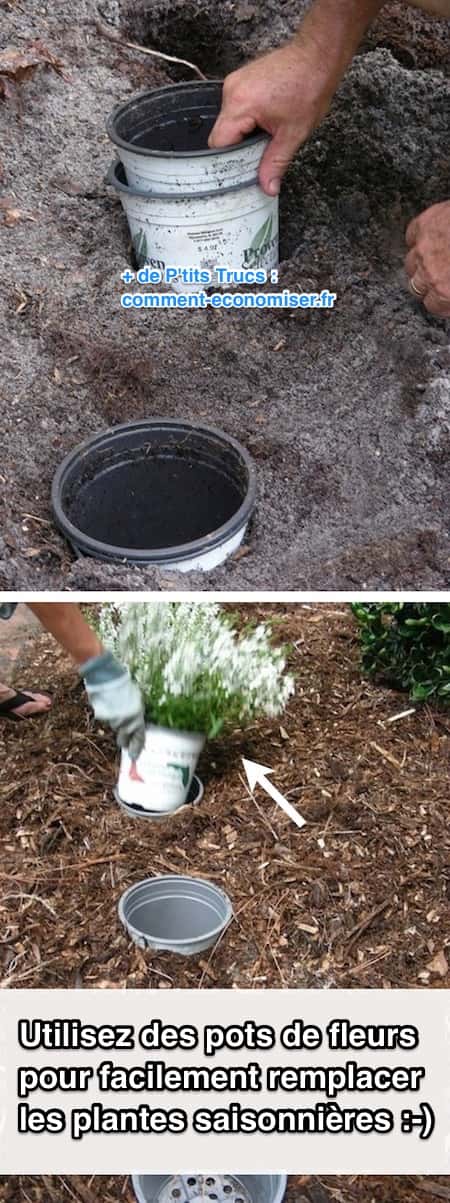 Mettez des pots de fleurs en terre pour facilement remplacer les plantes saisonnières et les plantes annuelles.
