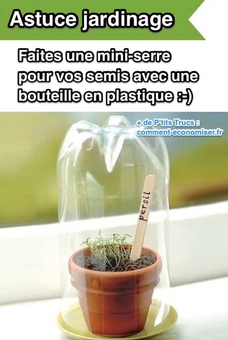Pour faire une serre pour vos semis, utilisez une bouteille de plastique coupée.