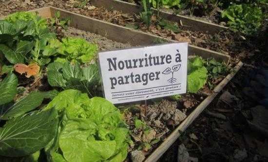 des légumes et fruits bio gratuits pour tous