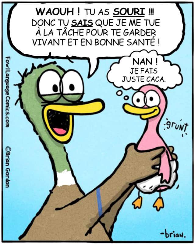 Découvrez les BD sur la vie quotidienne des parents.