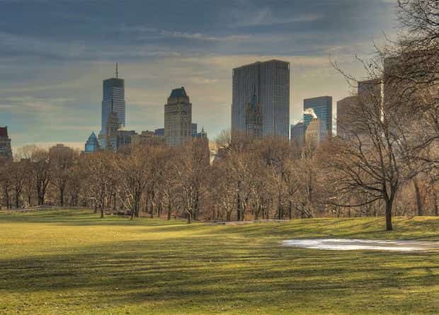 Se promener dans Central Park à NYC