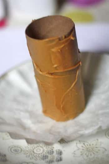 Mettre beurre de cacahuètes sur le rouleau de papier toilettes