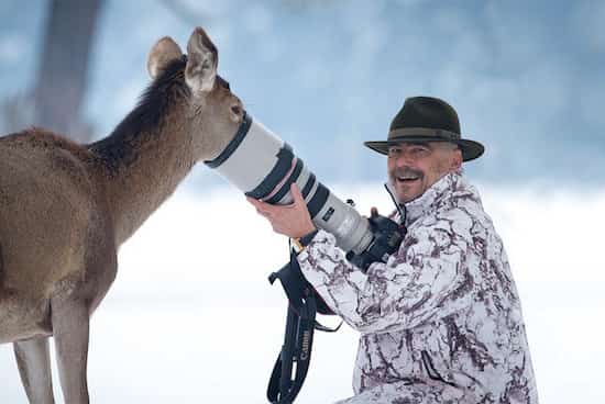 une biche met son nez dans l'objectif du photographe