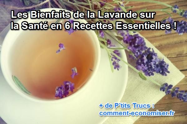 Les bienfaits de la lavande sur la santé
