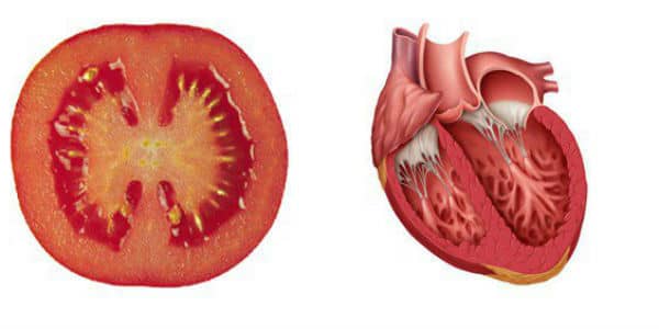 une moitié de tomates ressemble à un coeur