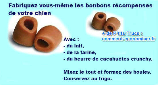 fabriquez les croquettes bonbons récompense de votre chien vous-même