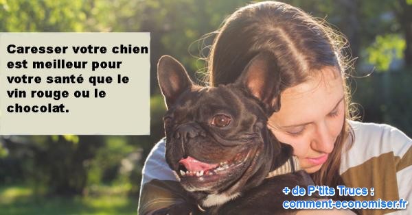 s'occuper d'un chien est bon pour la santé