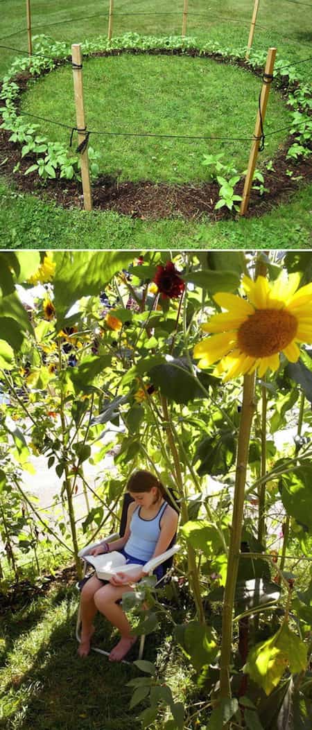 a hut made with sunflowers