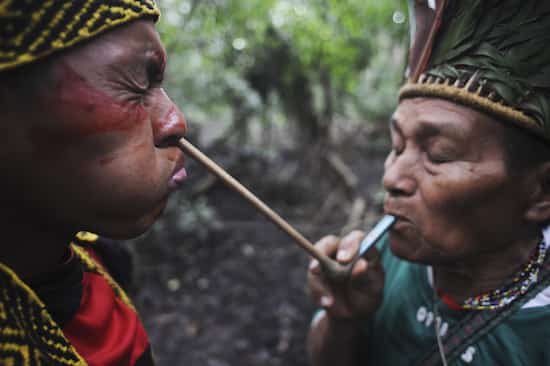 un homme d'une tribu amazonienne reçoit des soins traditionnels de médecine