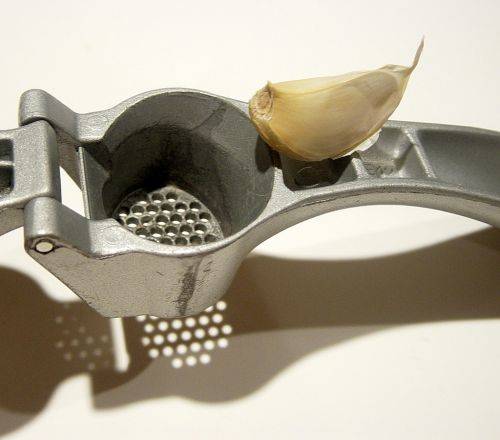 l'ail est un bon répulsif contre les fourmis