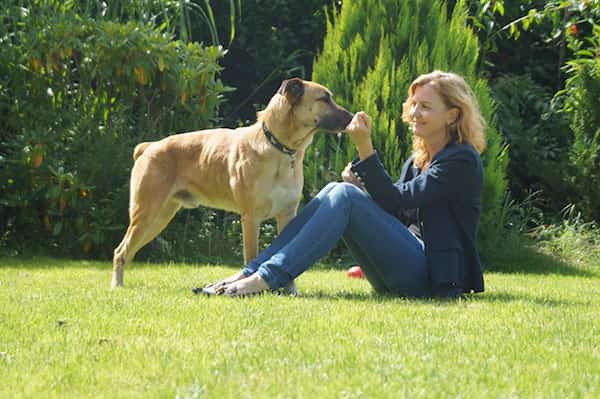 bonheur d'adopter un chien