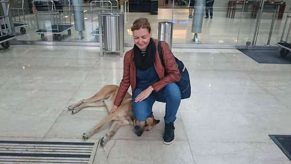 rubio chien qui a choisi sa maitresse en argentine
