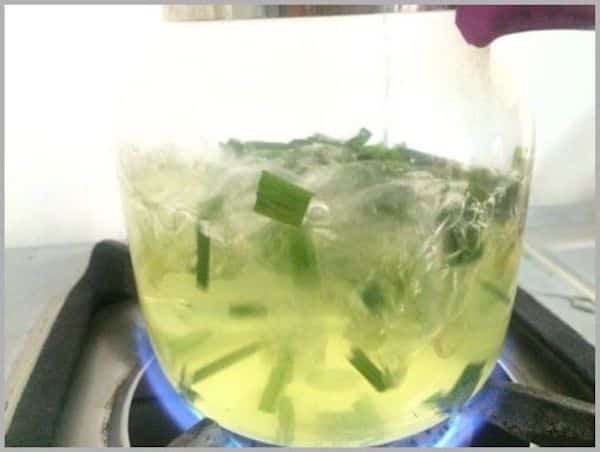 bienfaits citronnelle pour santé infusion