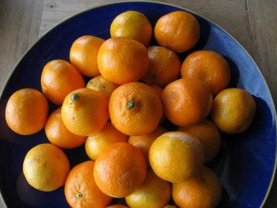 Clémentines de janvier