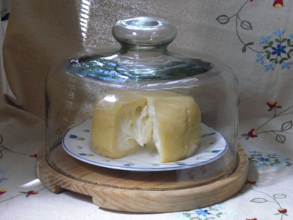 Utilisez une cloche à fromage pour éviter que le frigo pue