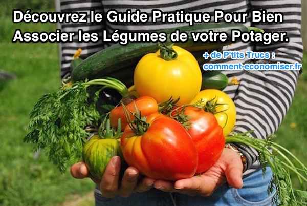 Guide pratique pour bien associer les lÃ©gumes du potager
