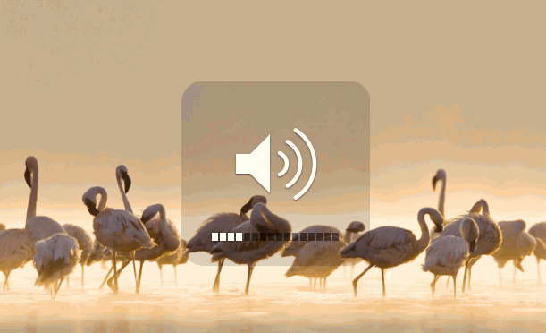 Comment changer le volume du son en silence mac