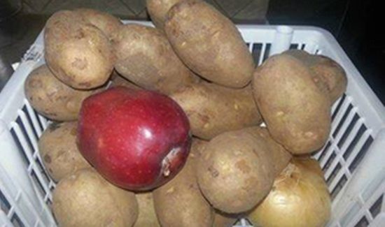 Mettez une pomme avec les pommes de terre pour les conserver plus longtemps