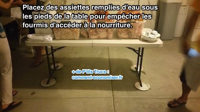 Empêcher les fourmis d'accéder à la nourriture