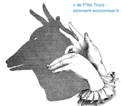 Comment faire un cerf en ombre chinoise