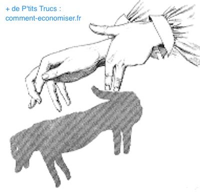 Comment faire un chien en ombre chinoise