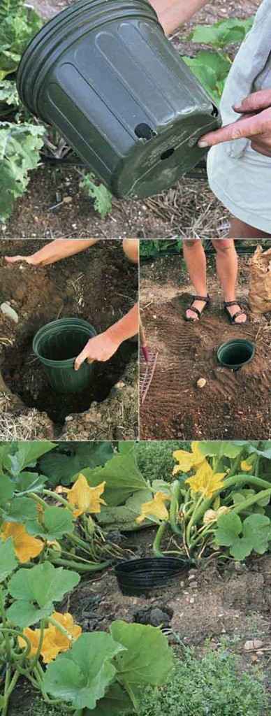 astuces-pour-ameliorer-jardin. Comment-faire-pousser-courges-facilement(1)