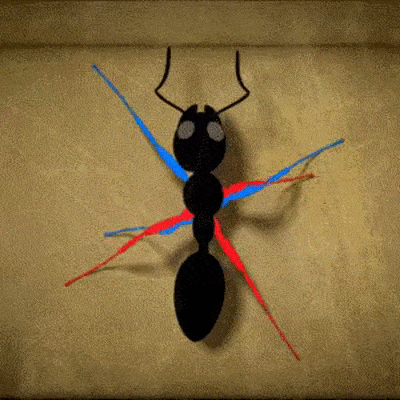Explications comment marche une souris