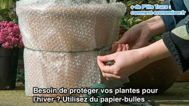 Besoin de protéger vos plantes pour  l'hiver ? Utilisez du papier-bulles