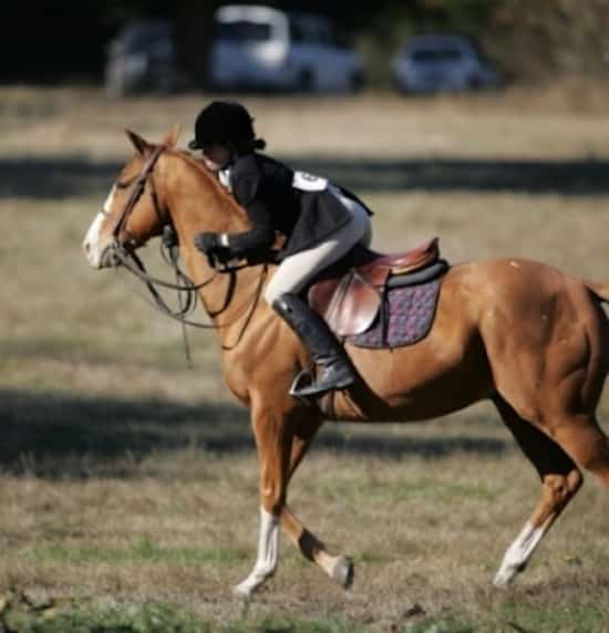 cheval qui s'emballe rester en selle au galop