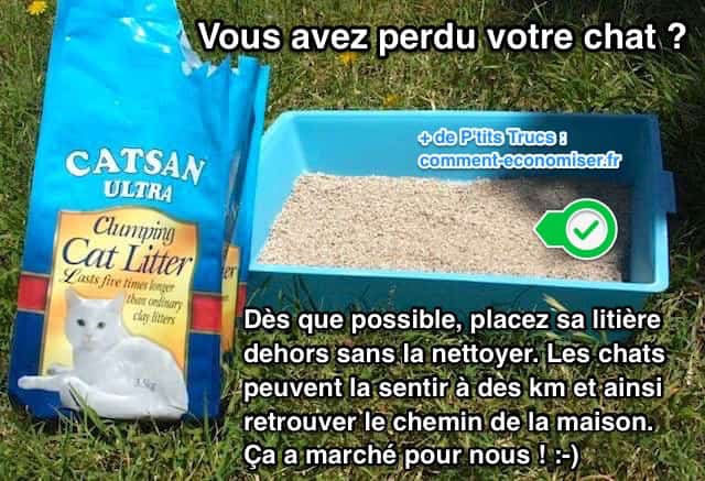 Lastuce Incroyable Pour Retrouver Un Chat Perdu