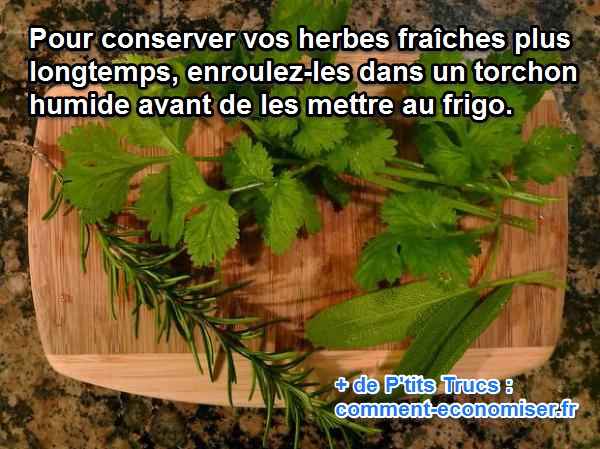 Conservation Des Herbes Fraîches : Une Astuce Infaillible.