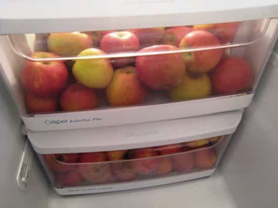 les pommes sont mises au frigo dans le bac à légumes