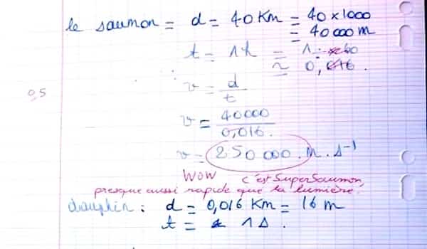 copie élève poids du saumon