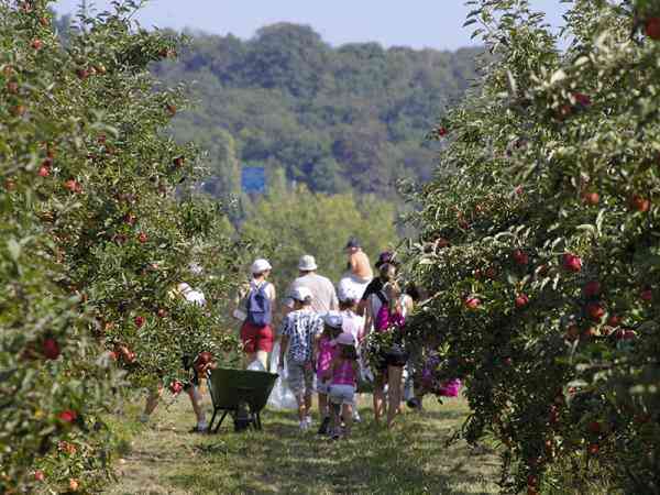 une famille qui pratique la cueillette à la ferme