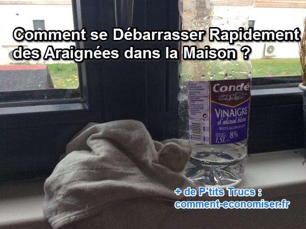 utilisez du vinaigre blanc pour chasser les araignées