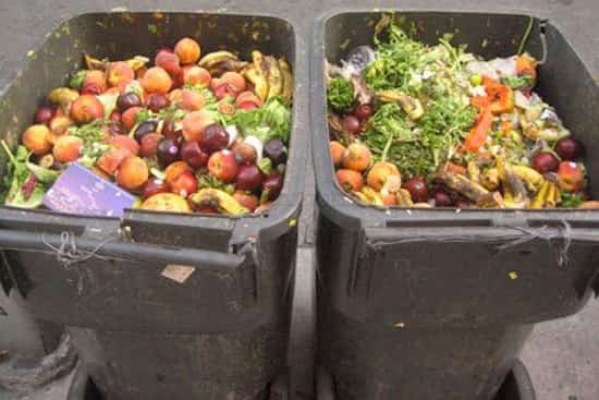 gachis alimentaire trouvé dans les poubelles de supermarchés