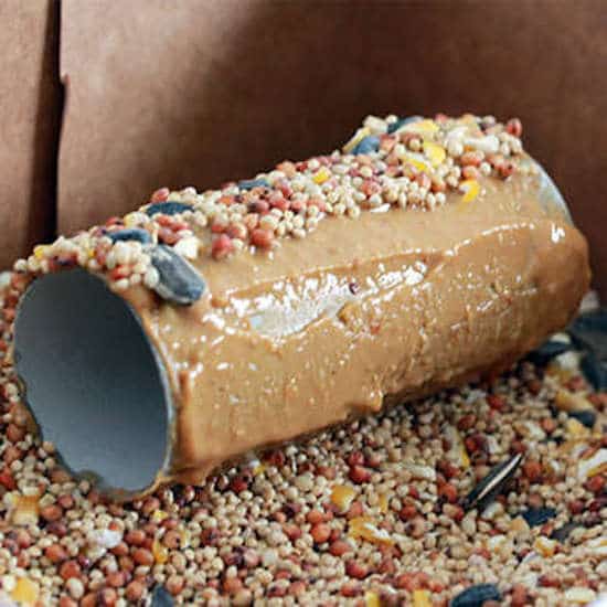 distributeur de graines pour oiseaux en carton