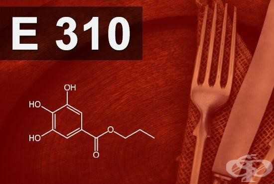 E310 conservateur dangereux pour santé