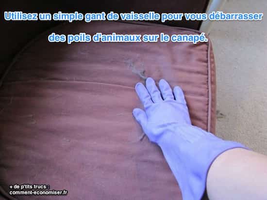 enlevez les poils sur le canapé avec un gant de ménage