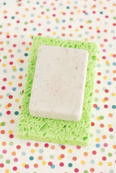 porte savon sur éponge