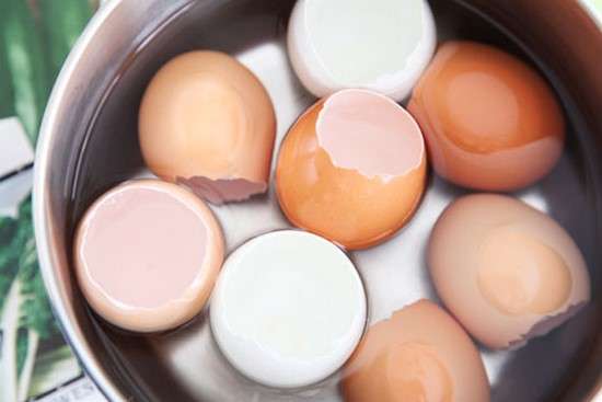 faire bouillir les coquilles d'oeufs